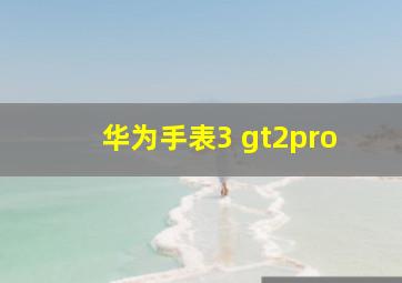 华为手表3 gt2pro